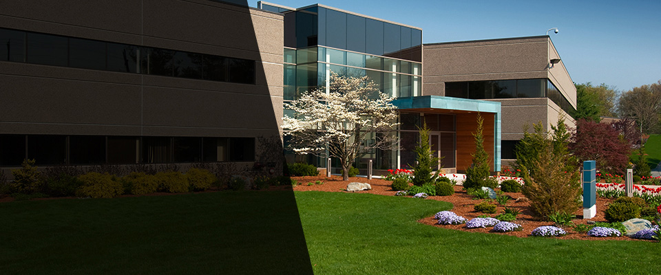 Chino Hills Landscapers