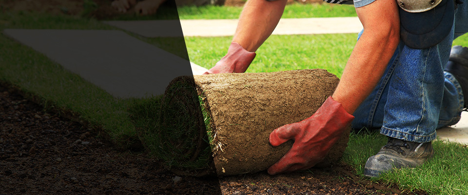 Chino Hills Landscapers